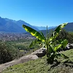 Ossola Dal Monte -