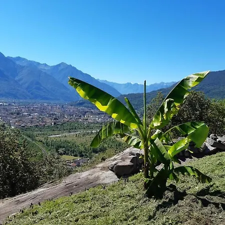 Ossola Dal Monte -