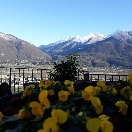 Ossola Dal Monte -