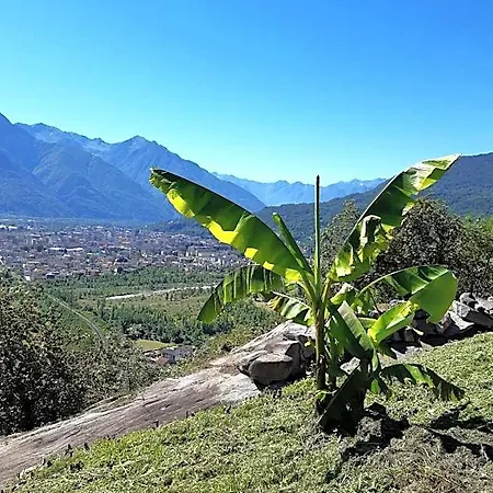 Ossola Dal Monte - Affittacamere Crevoladossola